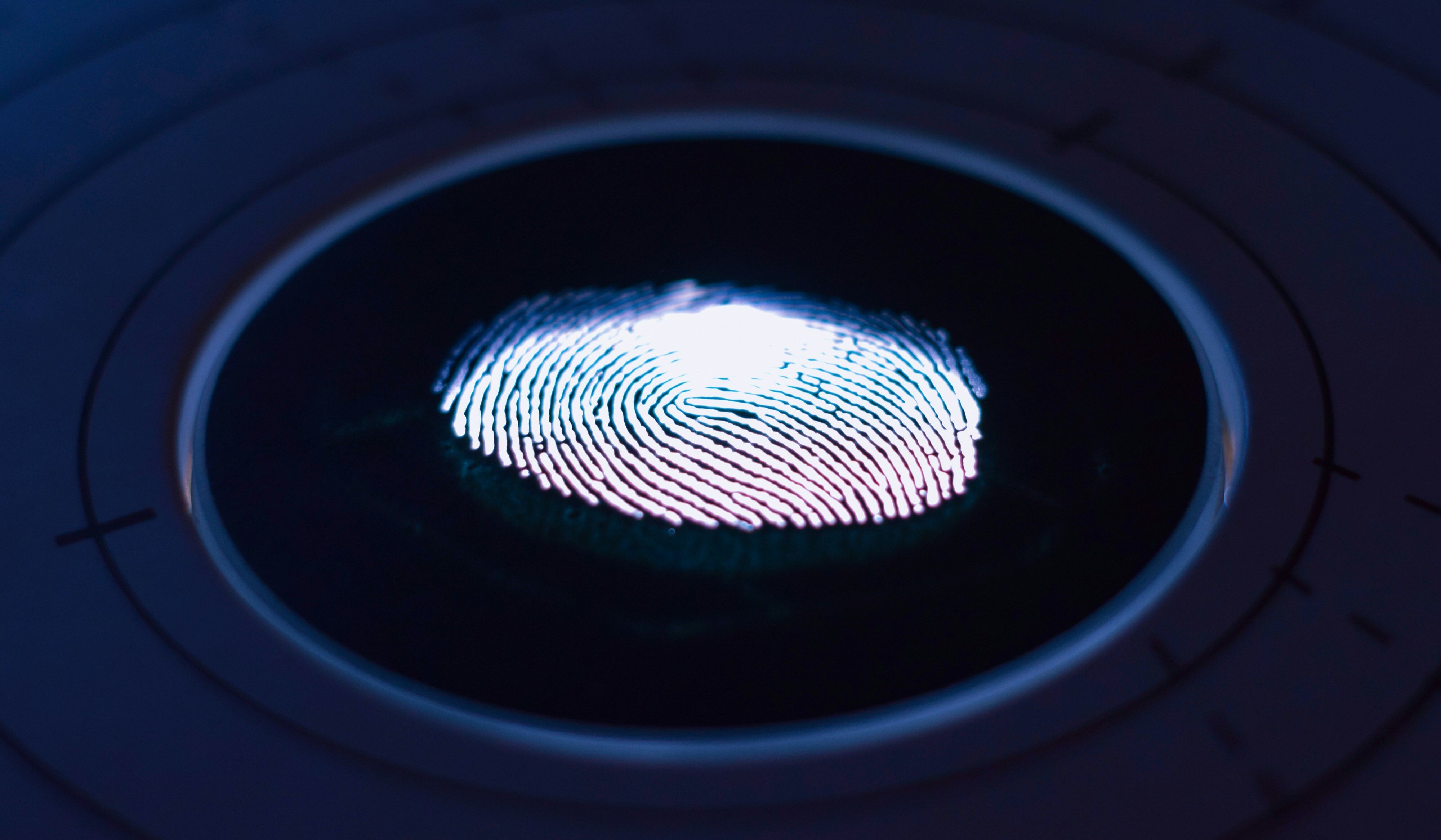 The Growing Importance of Network Security